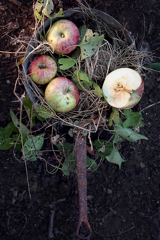 Apple Food Photography Brussels - Bruxelles