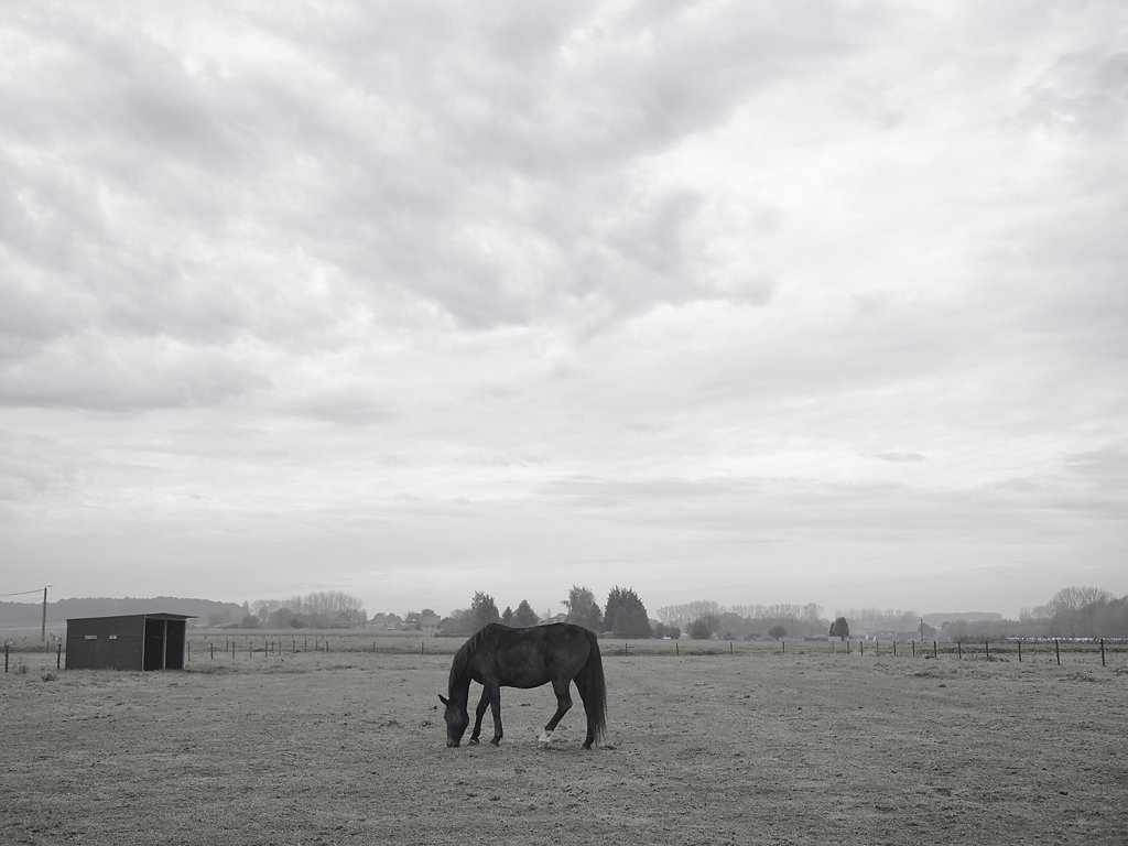 Photo d’art - galerie Ahmed Bahhodh Bruxelles